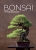 Bonsai to może być proste (Helmut Ruger, Horst Stahl)