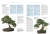 Bonsai to może być proste (Helmut Ruger, Horst Stahl)