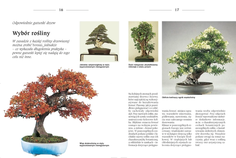 Bonsai to może być proste (Helmut Ruger, Horst Stahl)
