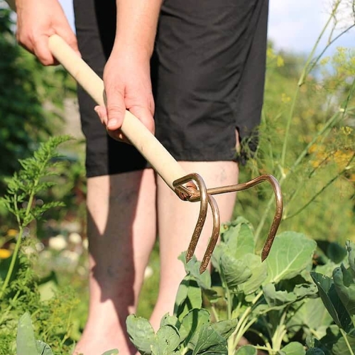 Kultywator z brązu Perun