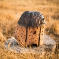 domek-dla-owadow-nigeryjczyk-3.JPG
