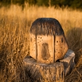 domek-dla-owadow-nigeryjczyk-6.JPG