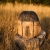 domek-dla-owadow-nigeryjczyk-6.JPG