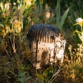 domek-dla-owadow-nigeryjczyk-7.JPG