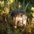 domek-dla-owadow-nigeryjczyk-7.JPG