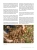 Rewolucja_agrarna_Sepp-Holzer_10.webp