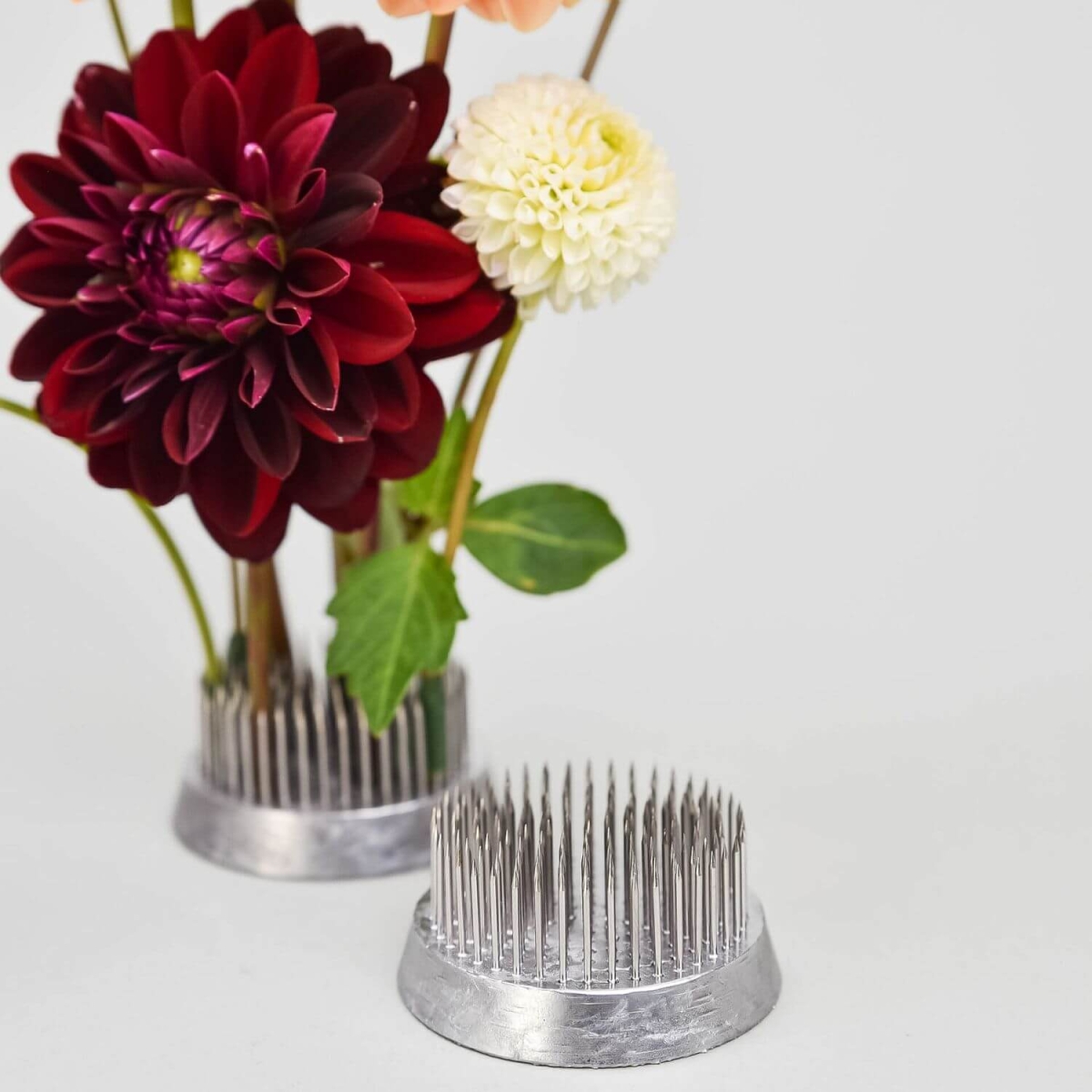 Kenzan z kolcami ze stali nierdzewnej Cesky Kenzan