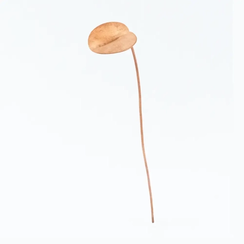 Miedziany liść maku wodnego Copper Flower Life Stick