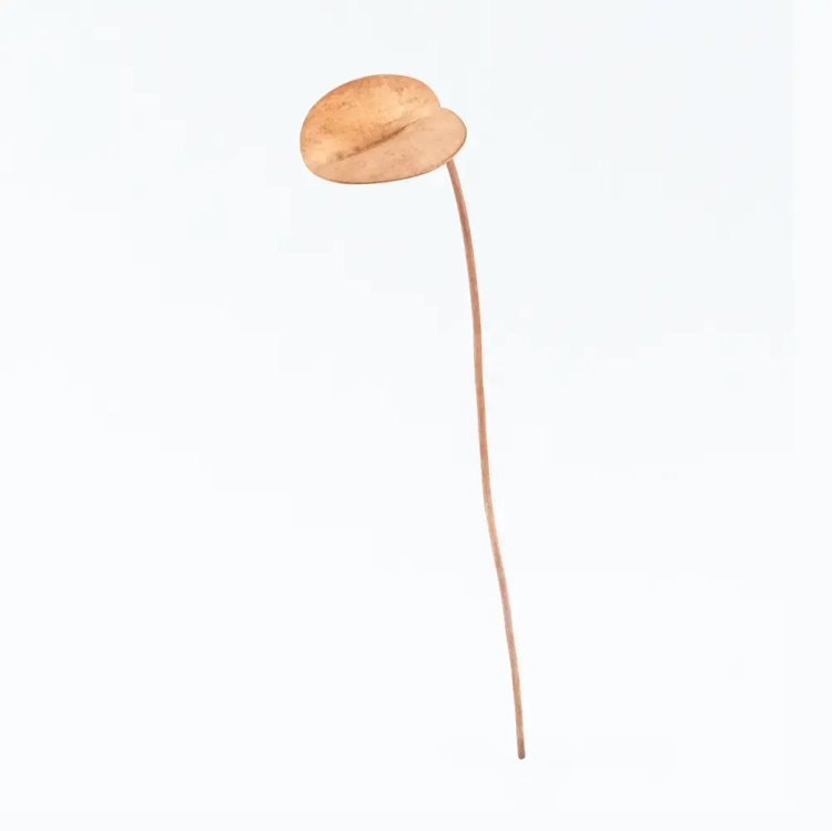 Miedziany liść maku wodnego Copper Flower Life Stick