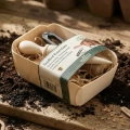 Zestaw prezentowy dla początkującego ogrodnika Gardener's Essentials