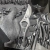 7.webp