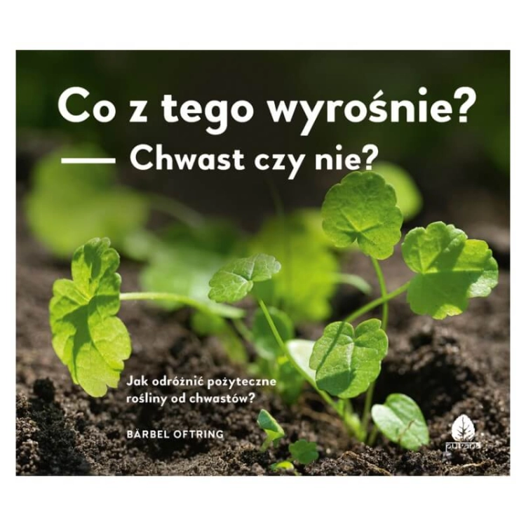 co_z_tego_wyrosnie.jpg