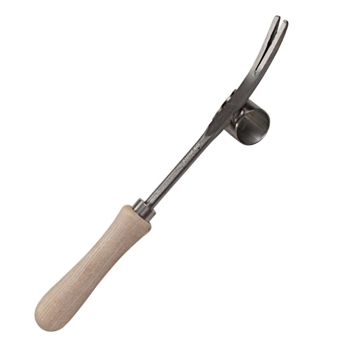 Chwastownik do stokrotek (Sneeboer)