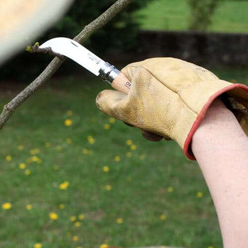 Nóż ogrodniczy sierpak szczepak Opinel (8 cm)