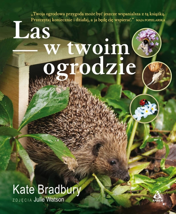 Las w twoim ogrodzie (Kate Bradbury)