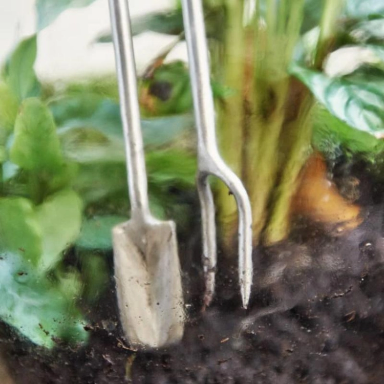 terrarium-spade (7).jpg
