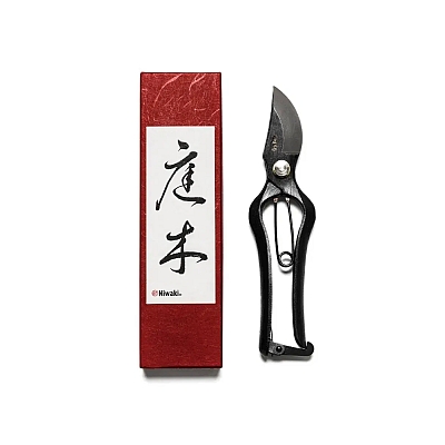 Seria Niwaki Sentei