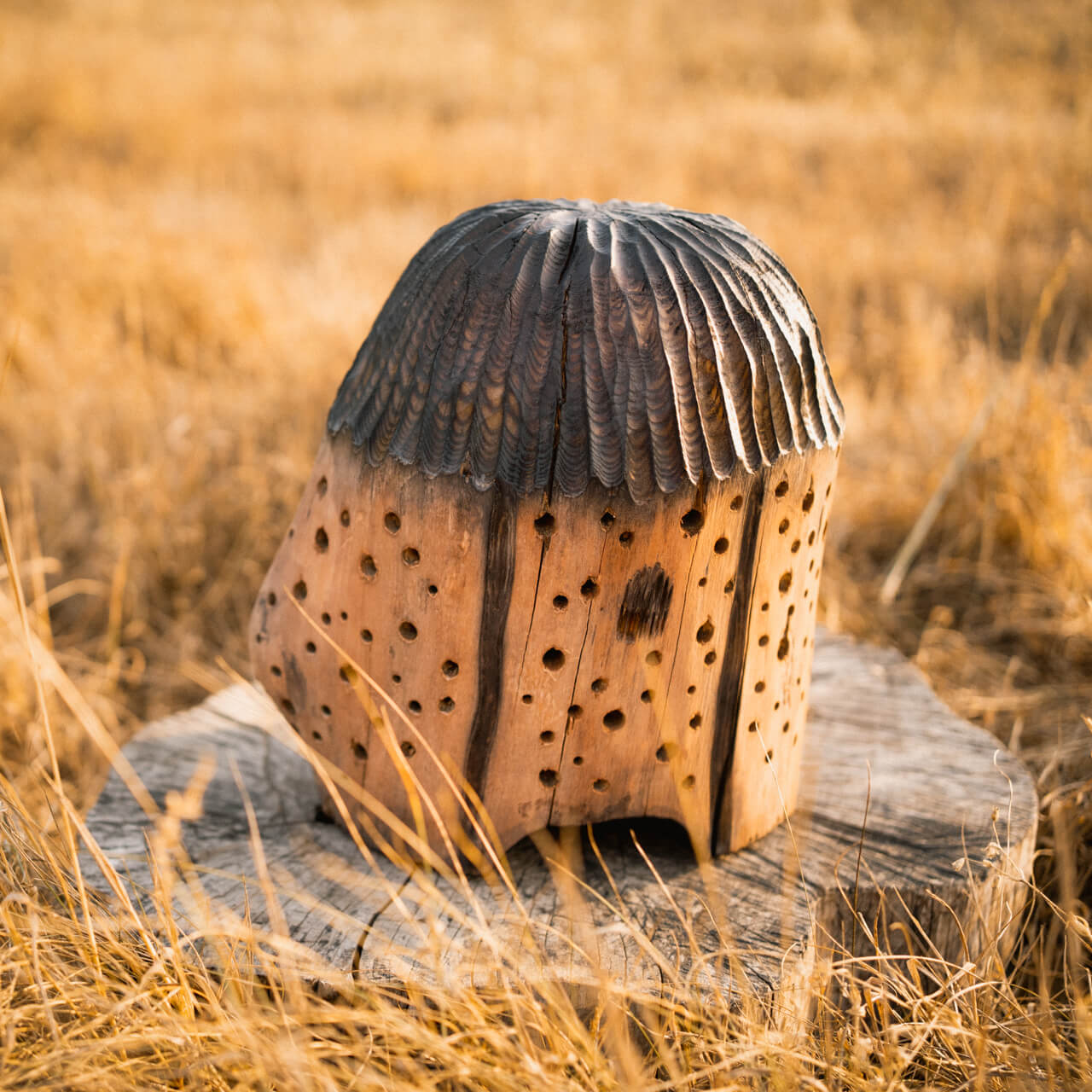 domek-dla-owadow-nigeryjczyk-3.JPG